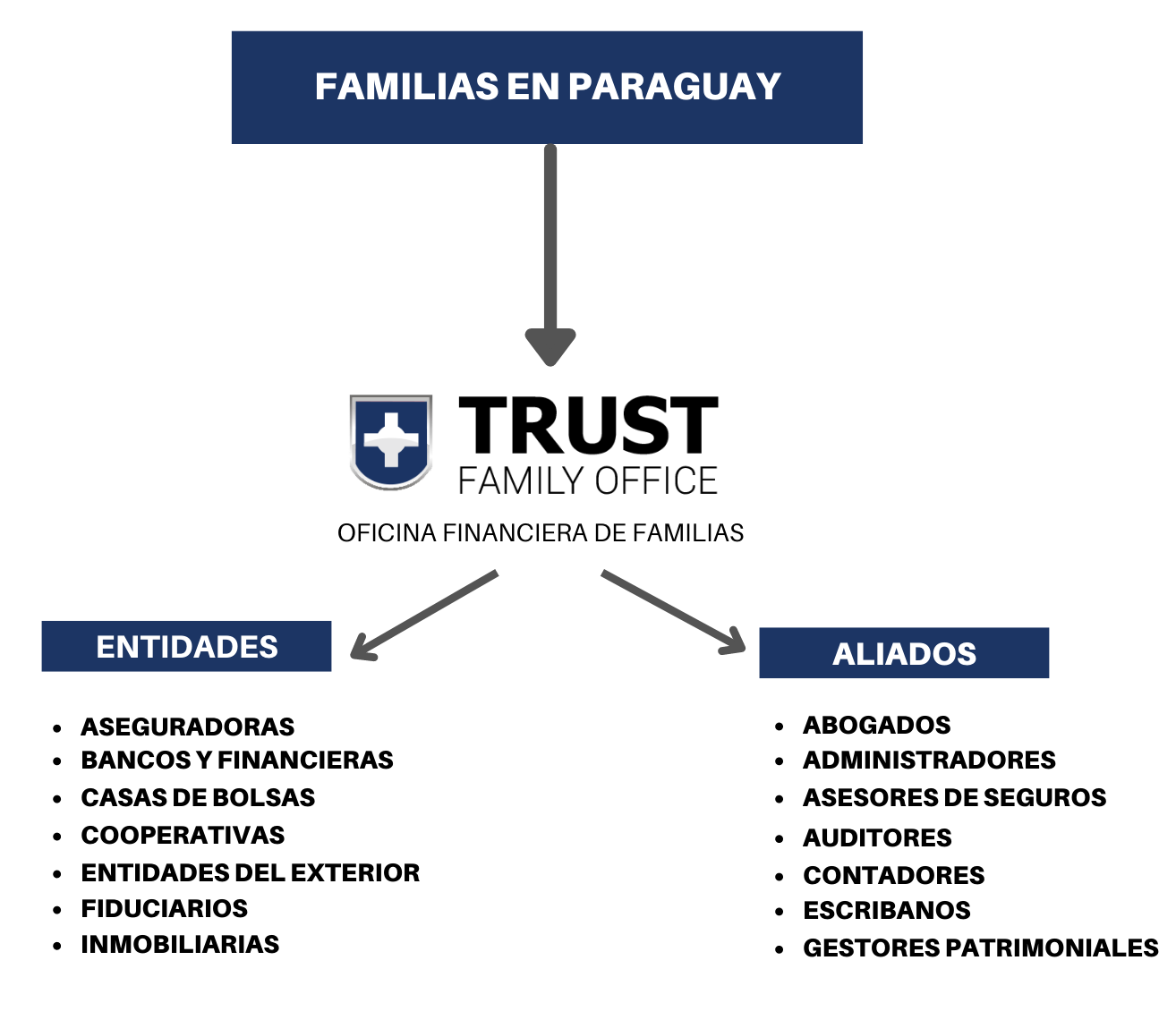 Estructura de Trust Family Office